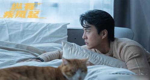 靳东最新爆料消息视频,揭秘娱乐圈不为人知的秘密  第3张